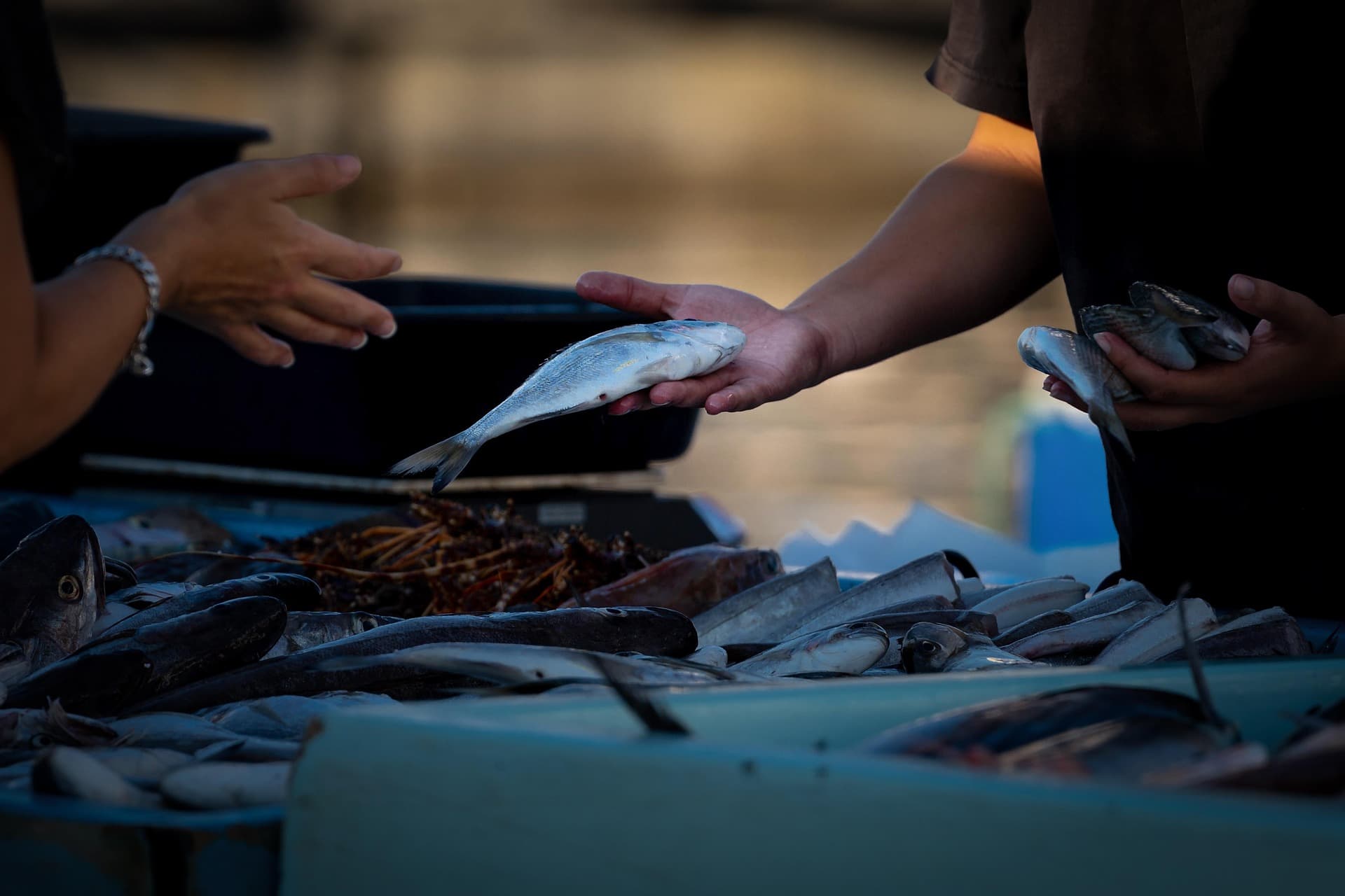 A bustling fish market in Sri Lanka.